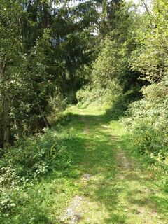 Pitzenschlucht