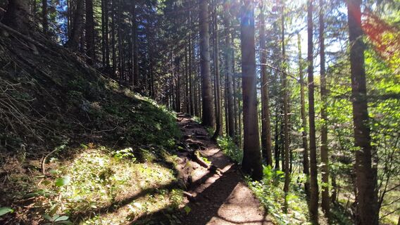 Fotografija s spletne strani EP87 na poti