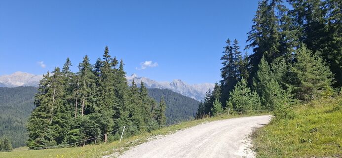 Foto de Christian Freythaler a lo largo del recorrido