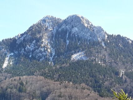Schober