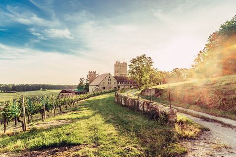 DSGVO_Z_Brackenheim_Burg Neipperg_03_WEB