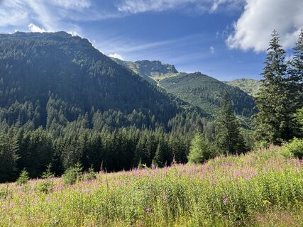Foto von cedric deschamps entlang der Tour