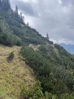 Photo de Hans-Heinrich Mai le long du parcours