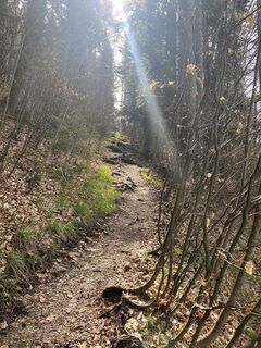 Foto fra Sven Krieblin underveis på turen