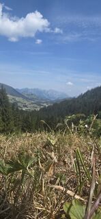 Photo de Filip Gorremans le long du parcours