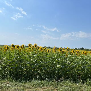 Weinriedenweg