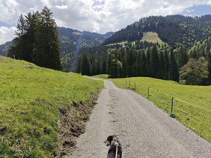 Fotografija s spletne strani Xenia Lange na poti