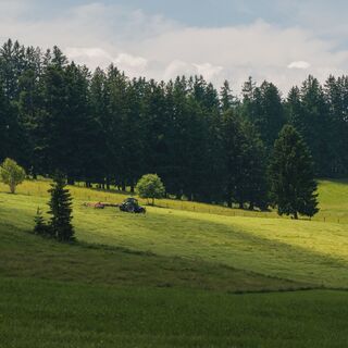 Grüne Wiesen und Wald bei Knottenried