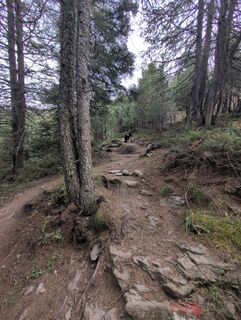 Foto von Benjamin Bergmann entlang der Tour