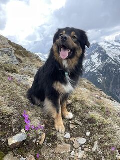 Foto von Masu entlang der Tour