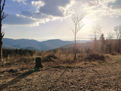 Fotografija s spletne strani Romek Dwornik na poti