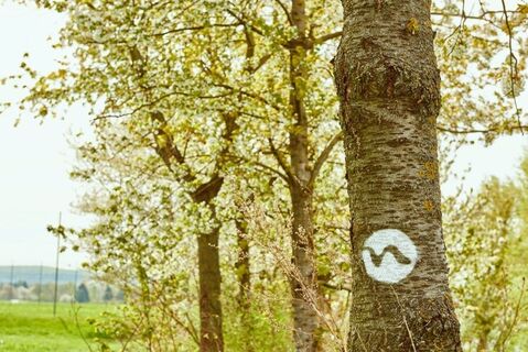 Farbmarkierung entlang vom Weitwanderweg Nibelungengau