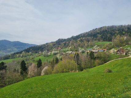 Fotografija s spletne strani Grizli na poti