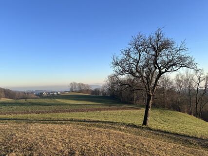 Fotografie z Wernher Messenböck na trase