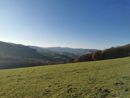 Fotó a Maxspeed honlapról a túra során