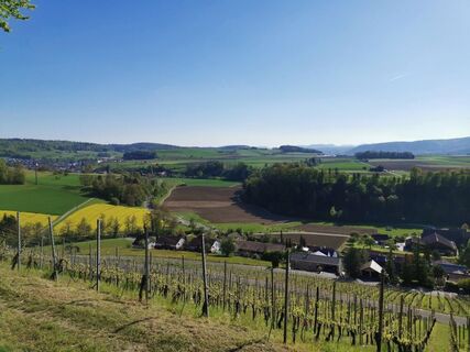 tegerfelden-aussicht