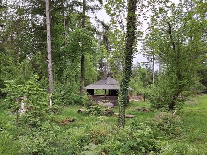 Photo de nordbergschnecke le long du parcours
