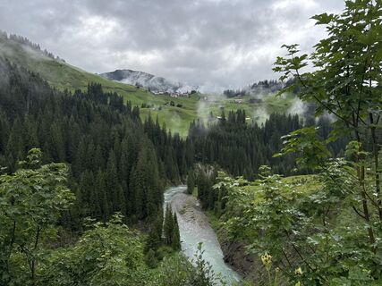 Foto von Grizzli entlang der Tour
