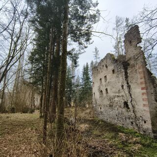 Fotografia z Sonja Enzenhofer na trase