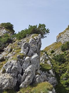 Foto von Martina entlang der Tour