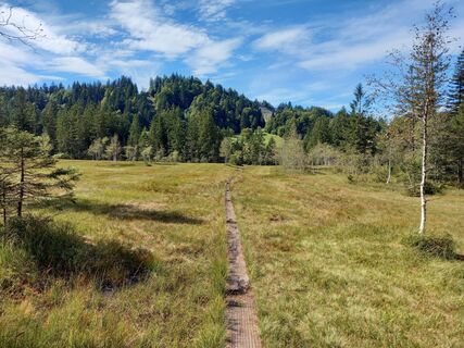 Foto da Matthias Zimmermann lungo il tour