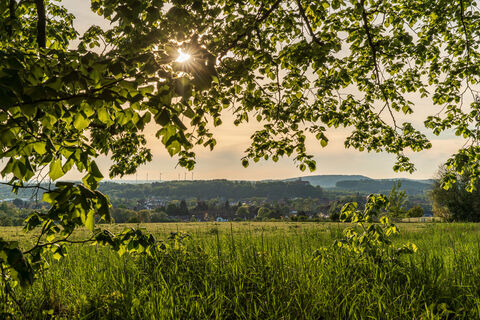 Blick vom Papenberg auf Herzberg
