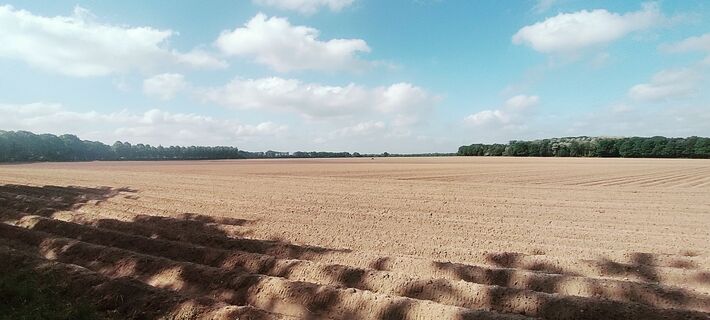 Fotografija s spletne strani Niek Werf na poti