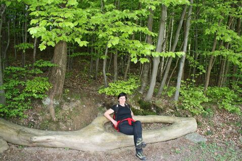 weg der kunst_img_26014800