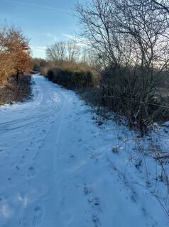 Foto de François Demonne a lo largo del recorrido