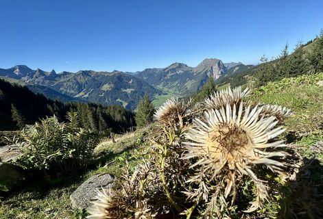 Foto von Monica Bagge entlang der Tour
