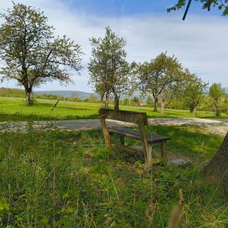 Witterda - Bank mit Aussicht
