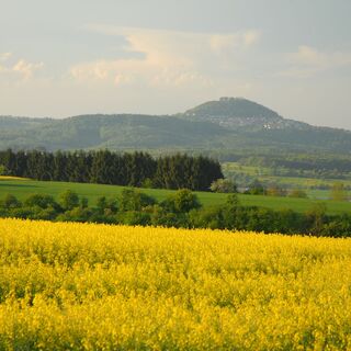 Zemljevid