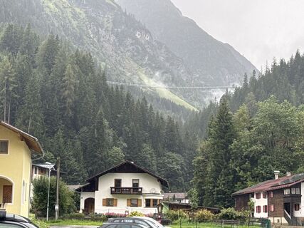 Foto von Grizzli entlang der Tour