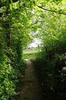 Fotó a Walter Köllner honlapról a túra során
