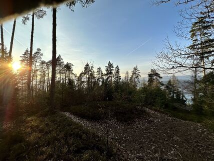 Foto von gdog entlang der Tour