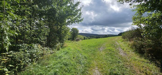 Foto de Michael Ganswind a lo largo del recorrido