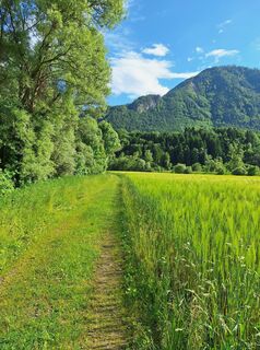Fotografija s spletne strani Dagmar Hofer na poti