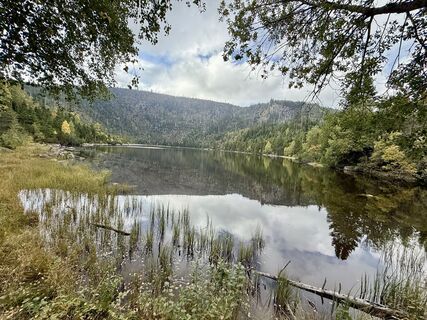 Photo de Natur_erleben_dg le long du parcours