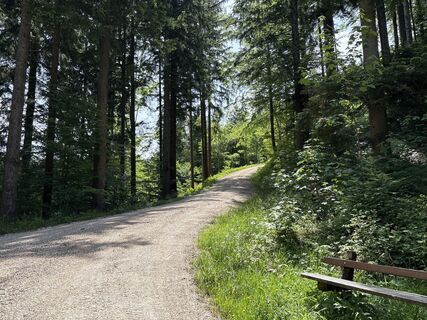 Photo de Heinz Sperl le long du parcours