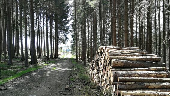 Zwischen Wegespinne und Sieglitzmühle