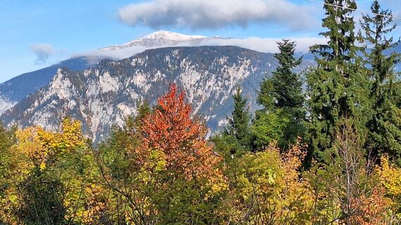 Foto von Herbert Eckelhart entlang der Tour