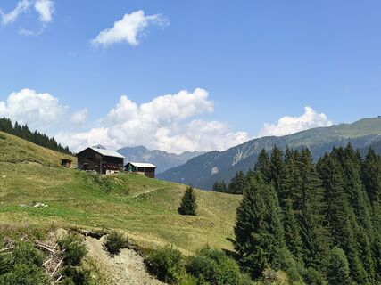 Fotografija s spletne strani Malte Vogel na poti
