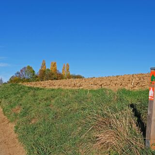 kasseler-heide