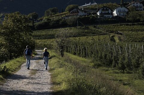 Kalterer Höhenweg