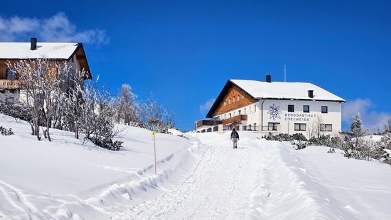 Berggasthof Edelweiss