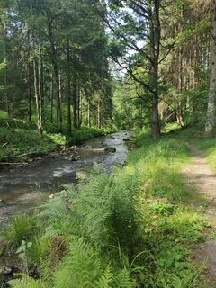Kösslbach vor Haugsteinstraße nach Esternberg