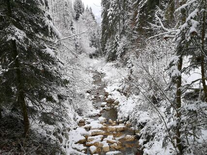 Scheffau_GlasklareBäche_Winterrunde_2021_TVB Wilder Kaiser (4).jpg