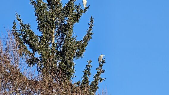 Foto von Eckhard Borchert entlang der Tour