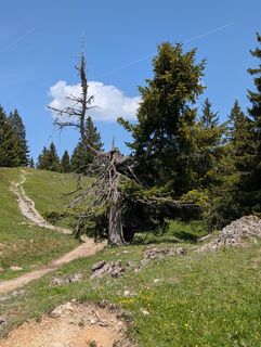 Foto von Poe Michi entlang der Tour