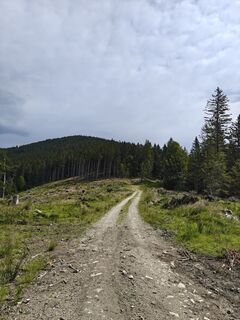 Foto von Dejan Stojko 1 entlang der Tour